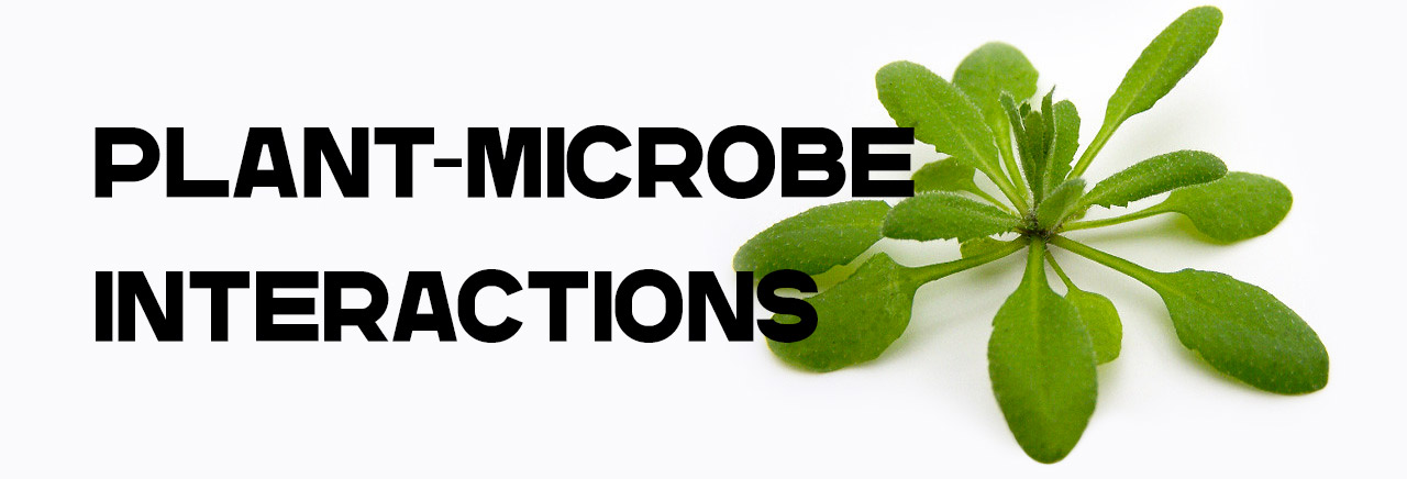 Plant-microbe Interactions